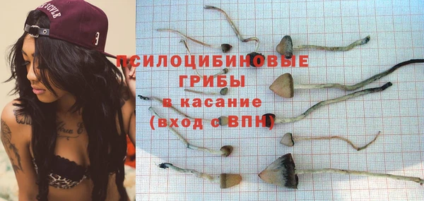 круглые Осинники
