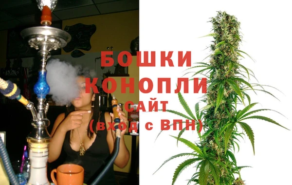 ПСИЛОЦИБИНОВЫЕ ГРИБЫ Остров