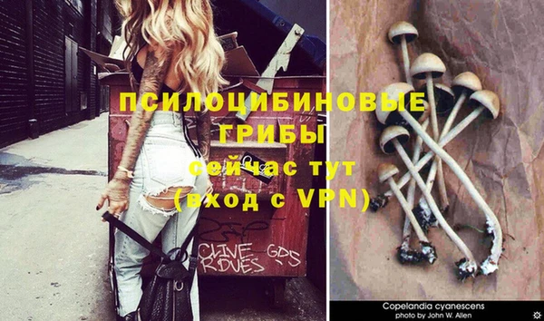 стафф Переславль-Залесский