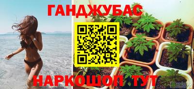 гидра Балашиха
