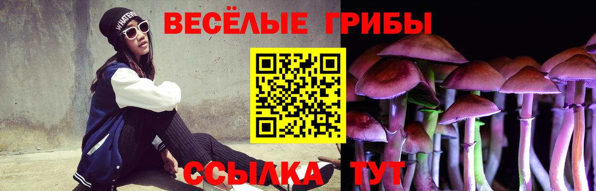 Галлюциногенные грибы мухоморы Зерноград