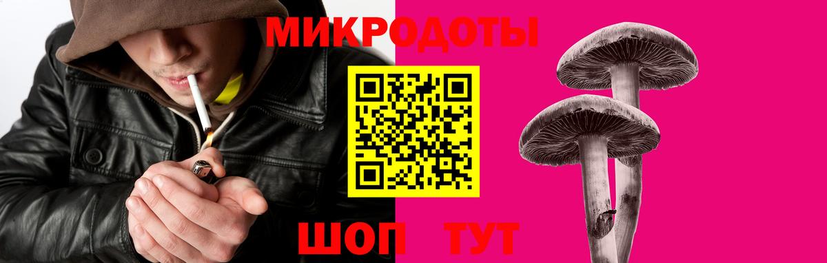 Псилоцибиновые грибы мицелий Зерноград