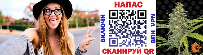 Шишки марихуана планчик Зерноград